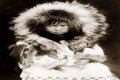 Discovering Eskimo Emma: A Journey Through Art And Culture