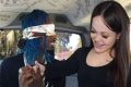Unveiling The Diamond Franco Fan Bus: A Journey Of Passion And Community